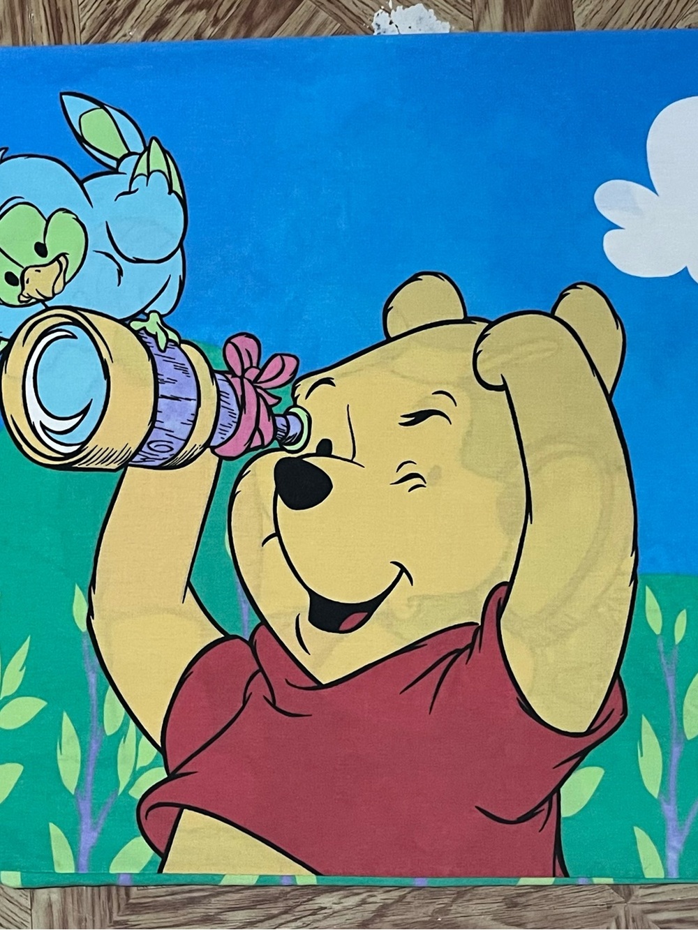 Disney Winnie the Pooh Kids Pillowcase Blue Red Yellow Green